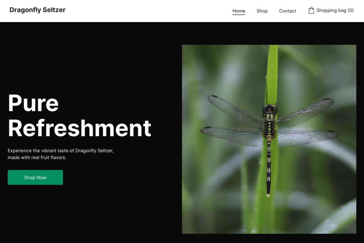 Site layout for an online business called dragonfly seltzer with navigation containing a cart button, followed by a bold heading, subtext, a shop now call-to-action button and a picture of a dragonfly. 